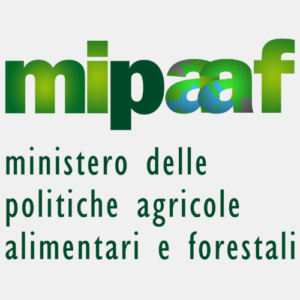 concorso-pubblico-logo-ente