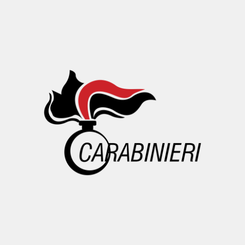 Logo Carabinieri