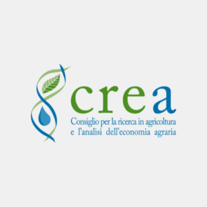 concorso-pubblico-logo-ente